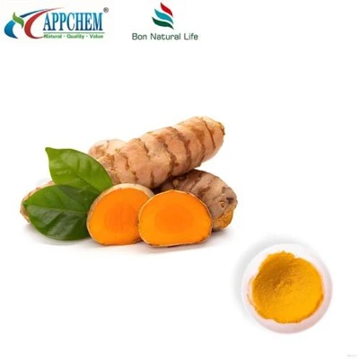 Куркумінний порошок HPLC95%; Куркуміноїди; Екстракт куркуми