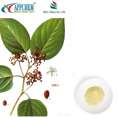 Порошок екстракту Hovenia Dulcis