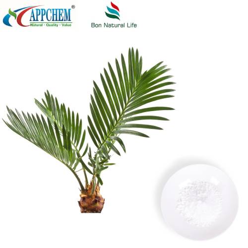 Порошок екстракту Saw Palmetto